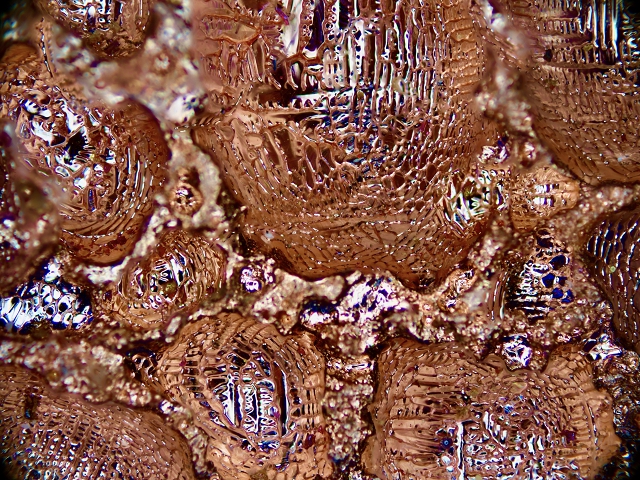 Zdjęcia mikroskopowe soczewek n-Copper